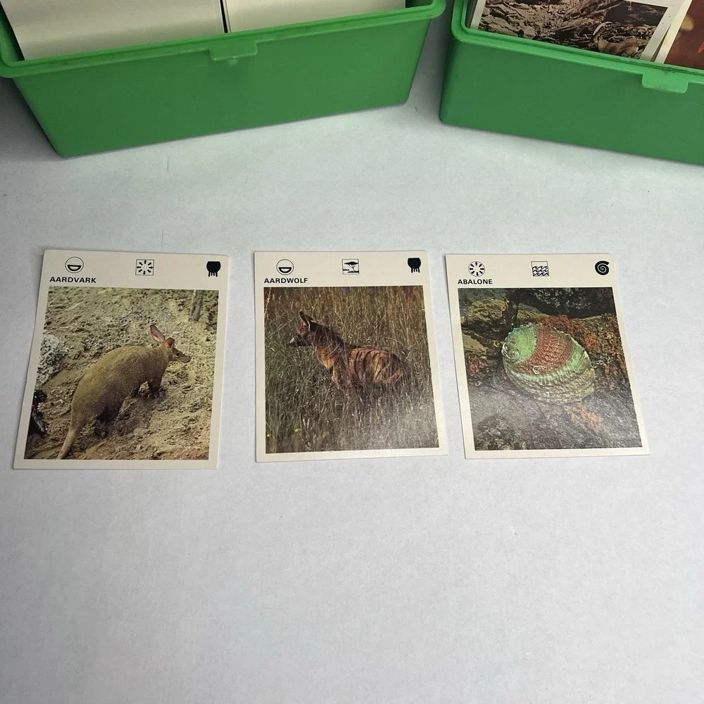 Vintage Illustrated Wildlife Treasury Set - NEAR MINT Cards & Prehistoric